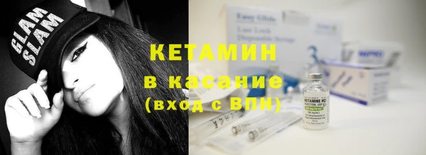 дживик Ельня