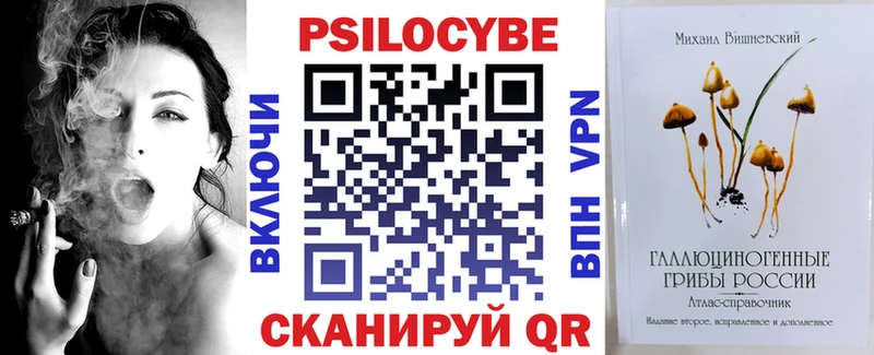 Псилоцибиновые грибы Psilocybe  Енисейск 